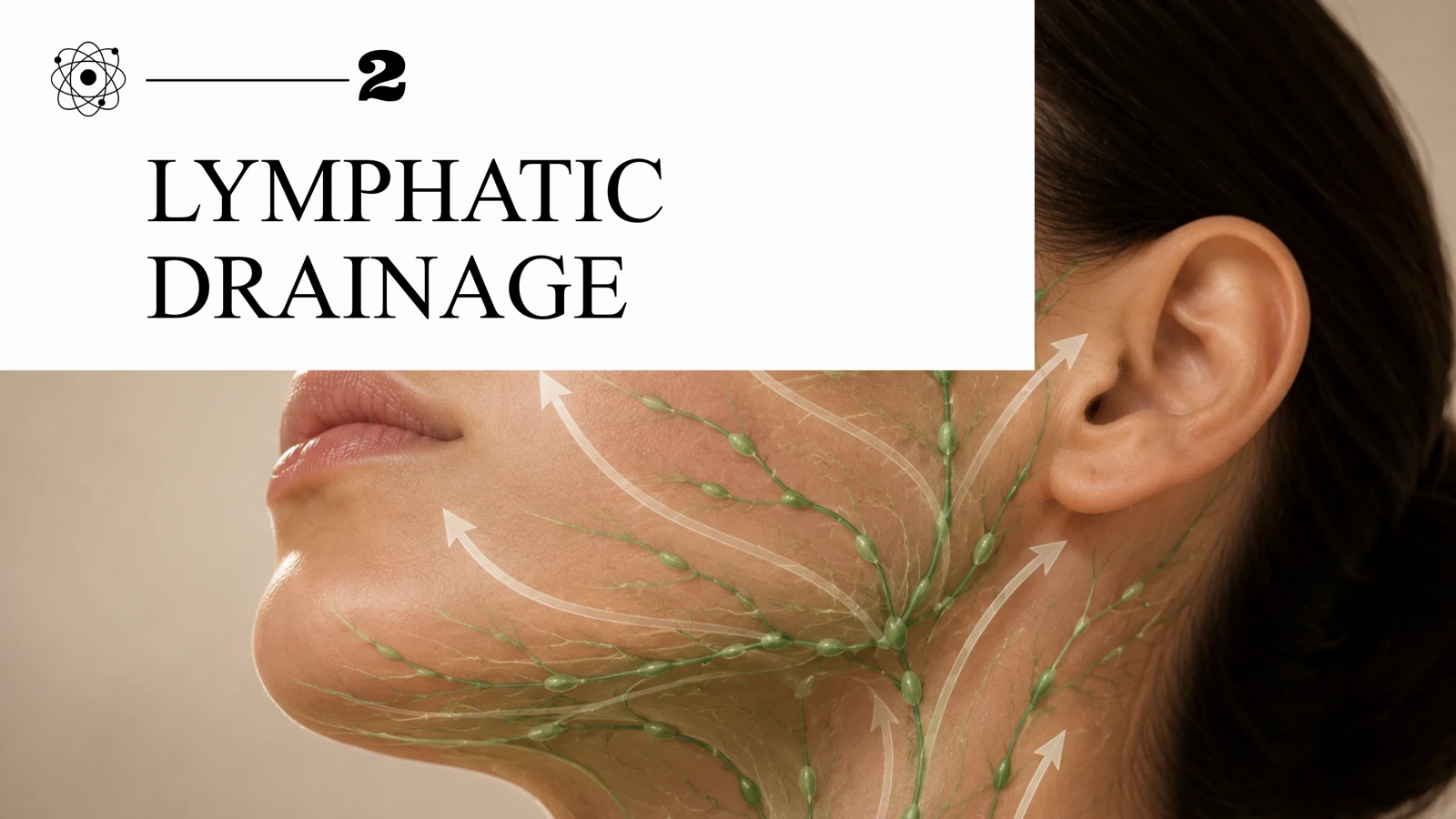Illustration of lymphatic drainage