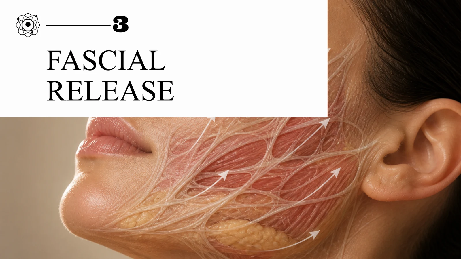 Illustration of fascial release