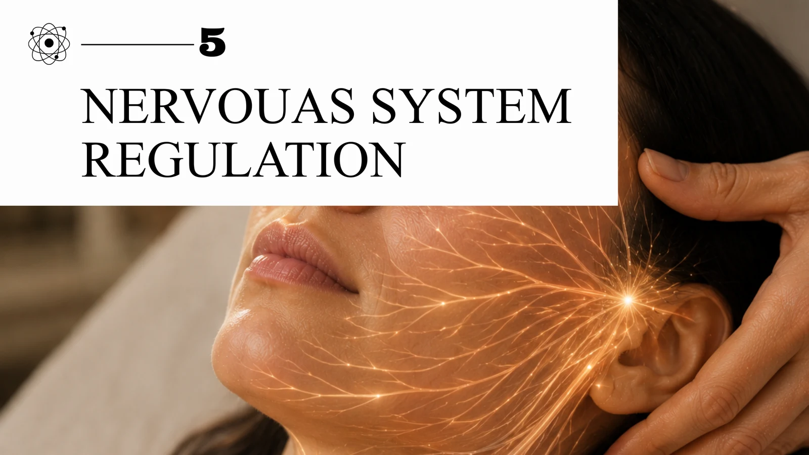 Illustration of nervous system regulation